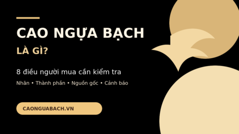Cao ngựa bạch là gì - 8 điều người mua cần kiểm tra