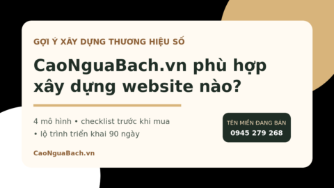 CaoNguaBach.vn phù hợp xây dựng website nào - checklist và lộ trình 90 ngày
